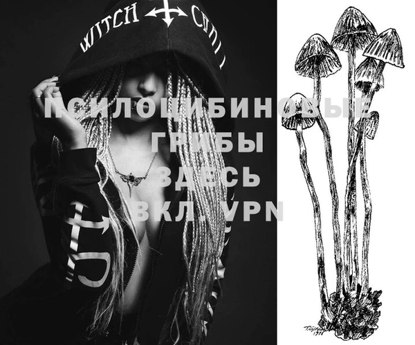 apvp Вуктыл