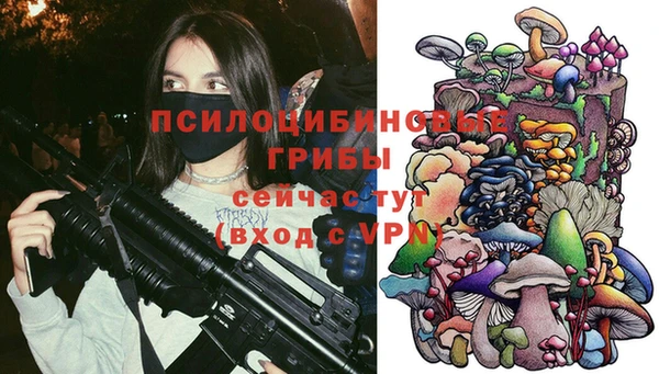 гидра Осинники