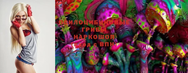 гидра Осинники