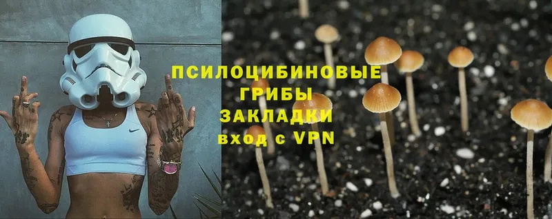 Псилоцибиновые грибы MAGIC MUSHROOMS  Иннополис 